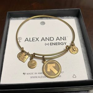 Alex and Ani stand up to cancer bracelet